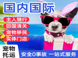 深圳宝安机场货运国际宠物托运 【国